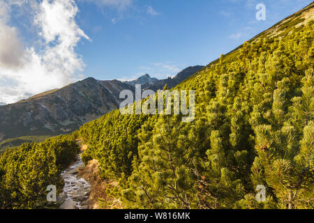 Bei paesaggi di montagna coperti con cielo blu e pulire acqua di fiume. Un piccolo ruscello scorre verso il basso a partire da alta montagna con sottile strato di Sn Foto Stock