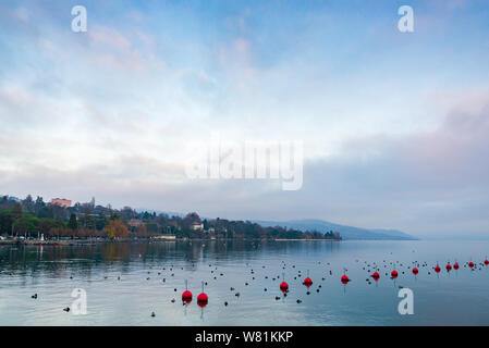 Splendido e tranquillo lo scenario spettacolare di misty, nuvoloso e al crepuscolo cielo sopra il lago di Ginevra con vari rosso boe galleggianti con sfondo di waterside. Foto Stock