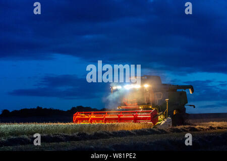 Grantham, Lincolnshire, Regno Unito. Il 7 agosto 2019. Una pausa nel meteo e condizioni dell'essiccatore, dopo diversi giorni di pioggia, consente agli agricoltori di lavorare fino a tarda notte a mettersi al passo con la combinazione e la raccolta prima di un altro meteo wet incantesimo. Credito: Matt arto OBE/Alamy Live News Foto Stock