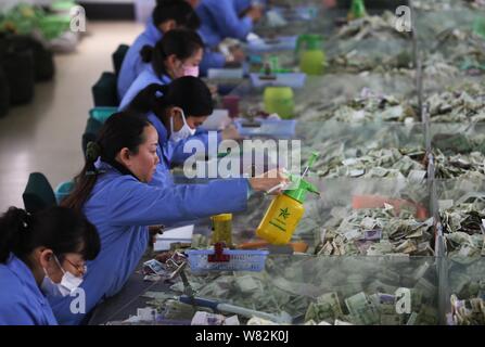 Un dipendente di sesso femminile spruzza acqua su banconote da biglietti per bus per separare la carta adesiva denaro prima del conteggio al cassiere centro di Kunming Publi Foto Stock