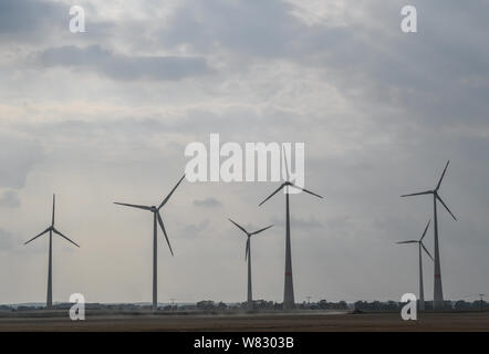 Carzig, Germania. Il 30 luglio, 2019. Le turbine eoliche sono situati in un campo nel distretto di Märkisch-Oderland. (Per "La rivoluzione energetica si ferma - cittadino di protesta contro le turbine eoliche') Credito: Patrick Pleul/dpa-Zentralbild/dpa/Alamy Live News Foto Stock