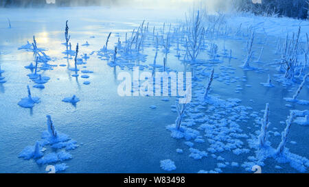 Un paesaggio innevato della Scenic Area del fiume Linbing al maggiore Khingan in Mongolia Interna Regione autonoma, Cina, 17 gennaio 2017. Foto Stock