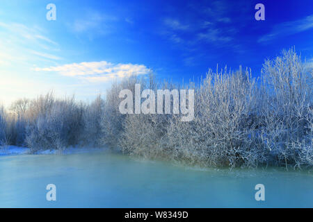 Un paesaggio innevato della Scenic Area del fiume Linbing al maggiore Khingan in Mongolia Interna Regione autonoma, Cina, 17 gennaio 2017. Foto Stock