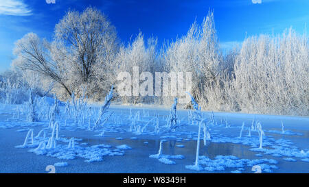 Un paesaggio innevato della Scenic Area del fiume Linbing al maggiore Khingan in Mongolia Interna Regione autonoma, Cina, 17 gennaio 2017. Foto Stock