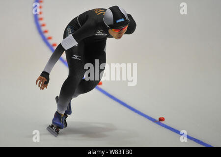 Skater giapponese Miho Takagi compete durante le donne del 3000-metro divisione un match dell'ISU di Coppa del mondo di pattinaggio di velocità la concorrenza nella città di Harbin, né Foto Stock