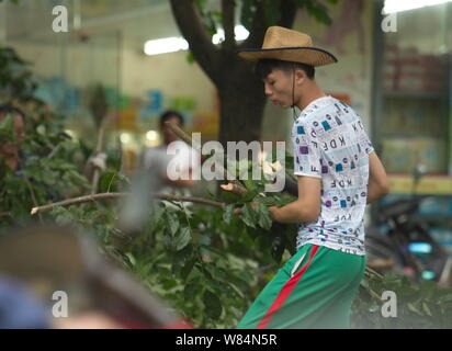 Un lavoratore cinese sgombra rami tagliati da alberi in preparazione per il Tifone Sarika su una strada in città Qionghai, Cina del sud della provincia di Hainan, Foto Stock