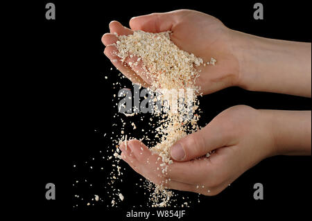 Manciata di sabbia bianca e da una spiaggia di Raja Ampat, Indonesia, consiste in una grande misura di parti scheletriche di piccoli animali o anche di piante. Foto Stock
