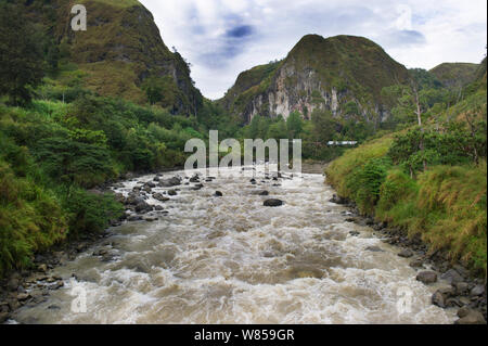 Fiume Baiyer nelle Highlands Occidentali, Papua Nuova Guinea Foto Stock