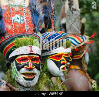 Gli artisti interpreti o esecutori tribali dal distretto di Anglimp in provincia Waghi, effettuando in corrispondenza di un sistema online di Sing-sing - Hagen Visualizza Highlands Occidentali, Papua Nuova Guinea, Agosto 2011 Foto Stock