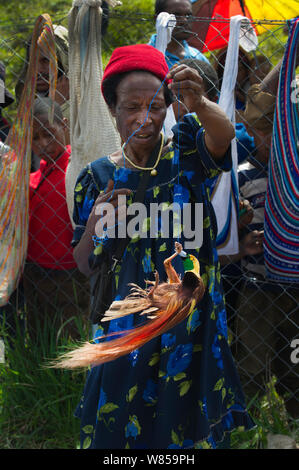 Signora nel mercato con Raggiana maschio uccello del paradiso (Paradisaea raggiana) per vendita, Mount Hagen, Papua Nuova Guinea, Agosto 2011 Foto Stock