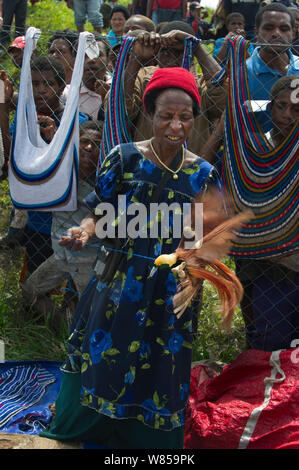 Signora nel mercato con Raggiana maschio uccello del paradiso (Paradisaea raggiana) per vendita, Mount Hagen, Papua Nuova Guinea, Agosto 2011 Foto Stock