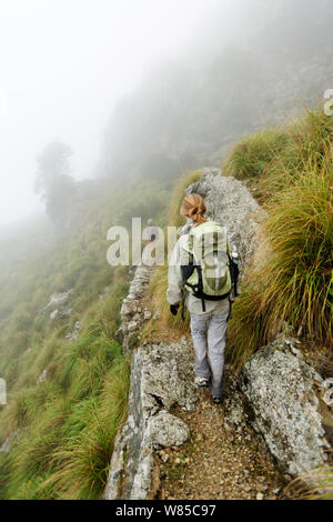 Gli scienziati Jaime Bosch e Susan Walker in cerca dell'ostetrica maiorchino toad (Alytes muletensis). Torrent de s'Esmorcador, Maiorca, Spagna, aprile 2009. Foto Stock