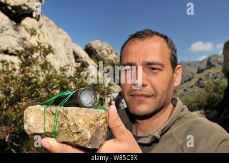 Il dott. Jaime Bosch controllando la temperatura datalogger nello stagno. Questo stagno è l'habitat per la levatrice maiorchino toad (Alytes muletensis) Torrent de s'Esmorcador, Maiorca, Spagna, aprile 2009. Foto Stock