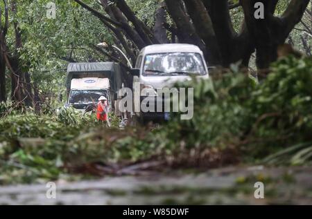 Un lavoratore cinese sgombra foglie e rami soffiato alberi rotti dal forte vento causato dal tifone Meranti su una strada in Jinjiang city, a sud-est Foto Stock