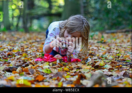 Ragazza giovane fotografa un fly Agaric (amanita muscaria) nel bosco in autunno, Norfolk, Inghilterra, Regno Unito. Modello rilasciato. Foto Stock