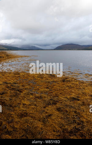 Loch Carron, Wester Ross, Scozia Foto Stock