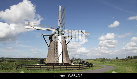 Tipico paesaggio olandese vacche,campi aperti un canale e un mulino a vento olandese.Panorama di tipico olandese paesaggio panoramico in estate con erba verde dei prati Foto Stock