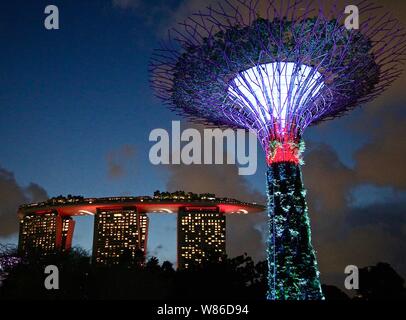 Giardini Supertree dalla baia di Marina Bay Sands proiettare la bandiera di Singapore Giornata Nazionale 2019 Foto Stock