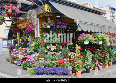 Caratteristico fiore bellissimo shop molla Foto Stock