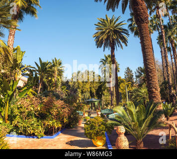 Cactus e palme al Jardin Majorelle Giardino botanico di Marrakech Foto Stock