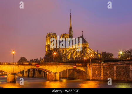 Parigi (Francia): la Cattedrale di Notre Dame, nel 4° arrondissement (distretto) al calar della sera. In primo piano il Fiume Senna e il Pont de l'Archeve Foto Stock