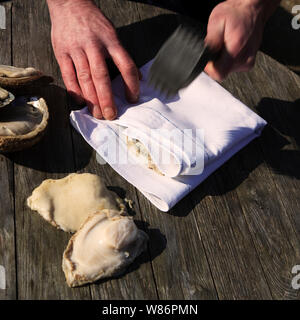 Guernsey Ormers - Frutti di mare della famiglia abalone - è preparato per essere cucinato in umido. Foto Stock
