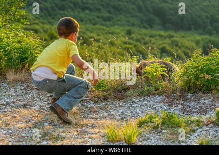 Interazione umana animale, il bambino e la volpe spaventosa, Abruzzo Foto Stock