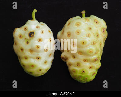 Primo piano del noni frutto. concetto di salute. Foto Stock