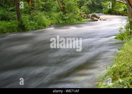 Il fiume Washburn in Nidderdale mostra che scorre veloce acqua dovuta al rilascio di acqua dal serbatoio Thruscross dalla Yorkshire Water Company per la canoa Foto Stock