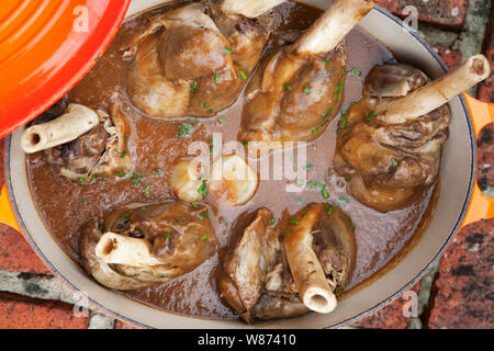 I gambi di agnello in una casseruola grande con un sacco di sugo di stock Foto Stock