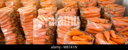 Sacchetti con giovani carota fresco preparato in vendita. Appena raccolto. Coltivazione biologica di verdure. Agricoltura e allevamento. Ucraina, Regione di Kherson. Harve Foto Stock