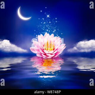 Bellissimo FIORE MAGICO sull'acqua. Ninfea o lotus e luna nella notte. Foto Stock