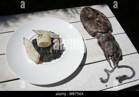 Seppie fresco servito con riso fatta con inchiostro di calamari e un vortice di parmigiano Foto Stock