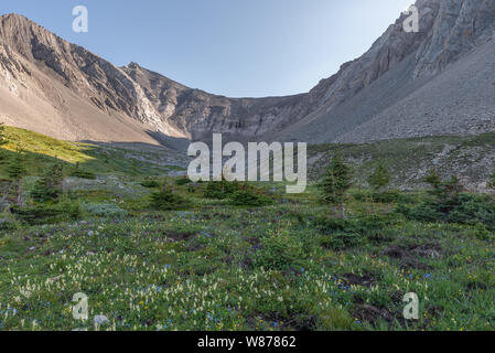 La Ptarmigan Cirque in Highwood Pass a Peter Lougheed Parco Provinciale, Alberta, Canada Foto Stock