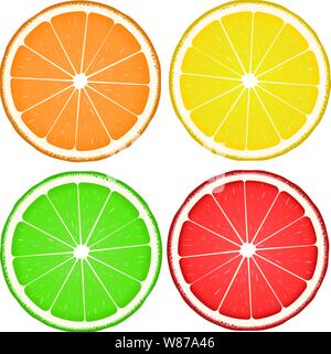 Illustrazione Vettoriale. Agrumi slice in stile realista. Isolato su bianco. Illustrazione Vettoriale