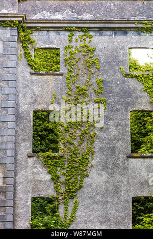 Rovine di Moore Hall o Moorehall nel villaggio Carnacon nella contea di Mayo in Irlanda Foto Stock