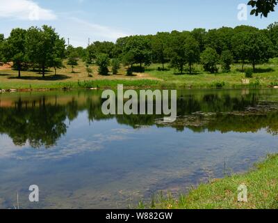 Riflessioni a un lago lungo la strada a Chickasaw National Recreation Area in Davis, Oklahoma Foto Stock