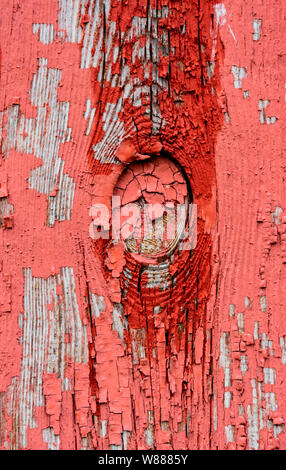 Alterò la vernice rossa e le finestre rotte sono un sito comune su granai in Vermont Foto Stock