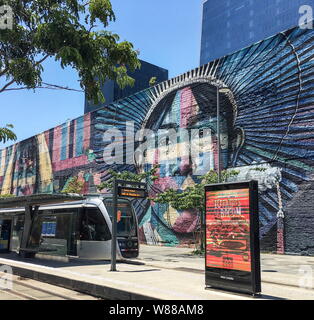 Etnicità, MURALE DI RIO DE JANEIRO Foto Stock