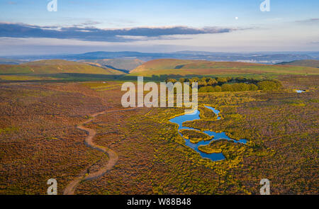 Atteggiamento alta vista su Long Mynd upland a caldo luce susnet nello Shropshire, Regno Unito Foto Stock