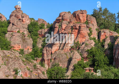 Magnifica rocce tra la foresta di sunrise. Belogradchik, Bulgaria. Foto Stock