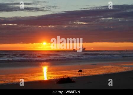 Tramonto sul mare con sandpiper uccello sulla riva Foto Stock