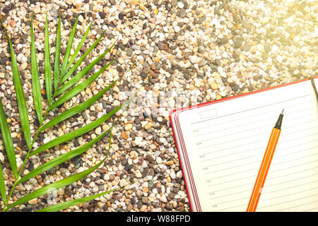 Tema turistico, spiaggia sabbiosa, pianta meridionale, notebook Foto Stock