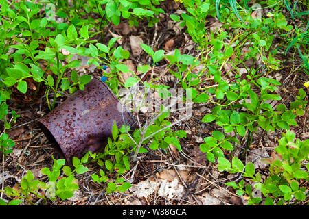 Vecchio stagno di metallo nella foresta Foto Stock
