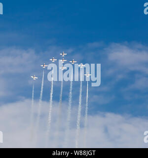 Snowbirds RCAF Boundary Bay BC Foto Stock