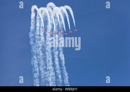 Snowbirds RCAF Boundary Bay BC Foto Stock