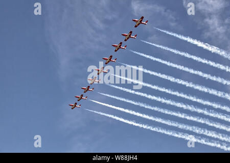 Snowbirds RCAF Boundary Bay BC Foto Stock