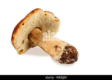 Grandi porcini naturali su sfondo bianco, isolano Foto Stock