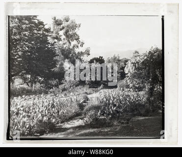 Glen Oaks, James Hobart Moore house, East Valley Road, Montecito, California. Ponti rustico in Flower Garden Foto Stock