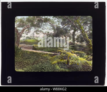 Glen Oaks, James Hobart Moore house, East Valley Road, Montecito, California. Il percorso Foto Stock